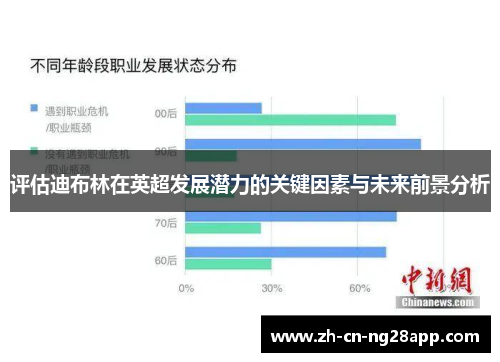 评估迪布林在英超发展潜力的关键因素与未来前景分析