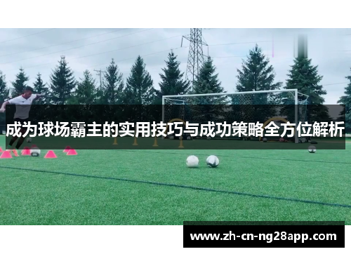 成为球场霸主的实用技巧与成功策略全方位解析