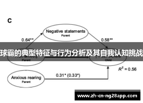球霸的典型特征与行为分析及其自我认知挑战