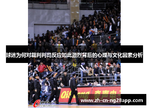 球迷为何对裁判判罚反应如此激烈背后的心理与文化因素分析