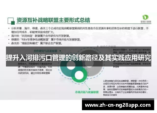 提升入河排污口管理的创新路径及其实践应用研究