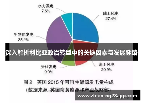 深入解析利比亚政治转型中的关键因素与发展脉络