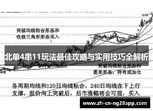 北单4串11玩法最佳攻略与实用技巧全解析