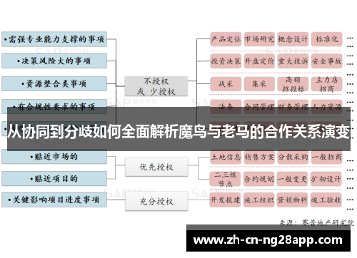 从协同到分歧如何全面解析魔鸟与老马的合作关系演变