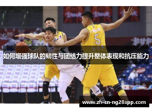 如何增强球队的韧性与团结力提升整体表现和抗压能力