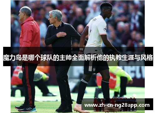 魔力鸟是哪个球队的主帅全面解析他的执教生涯与风格